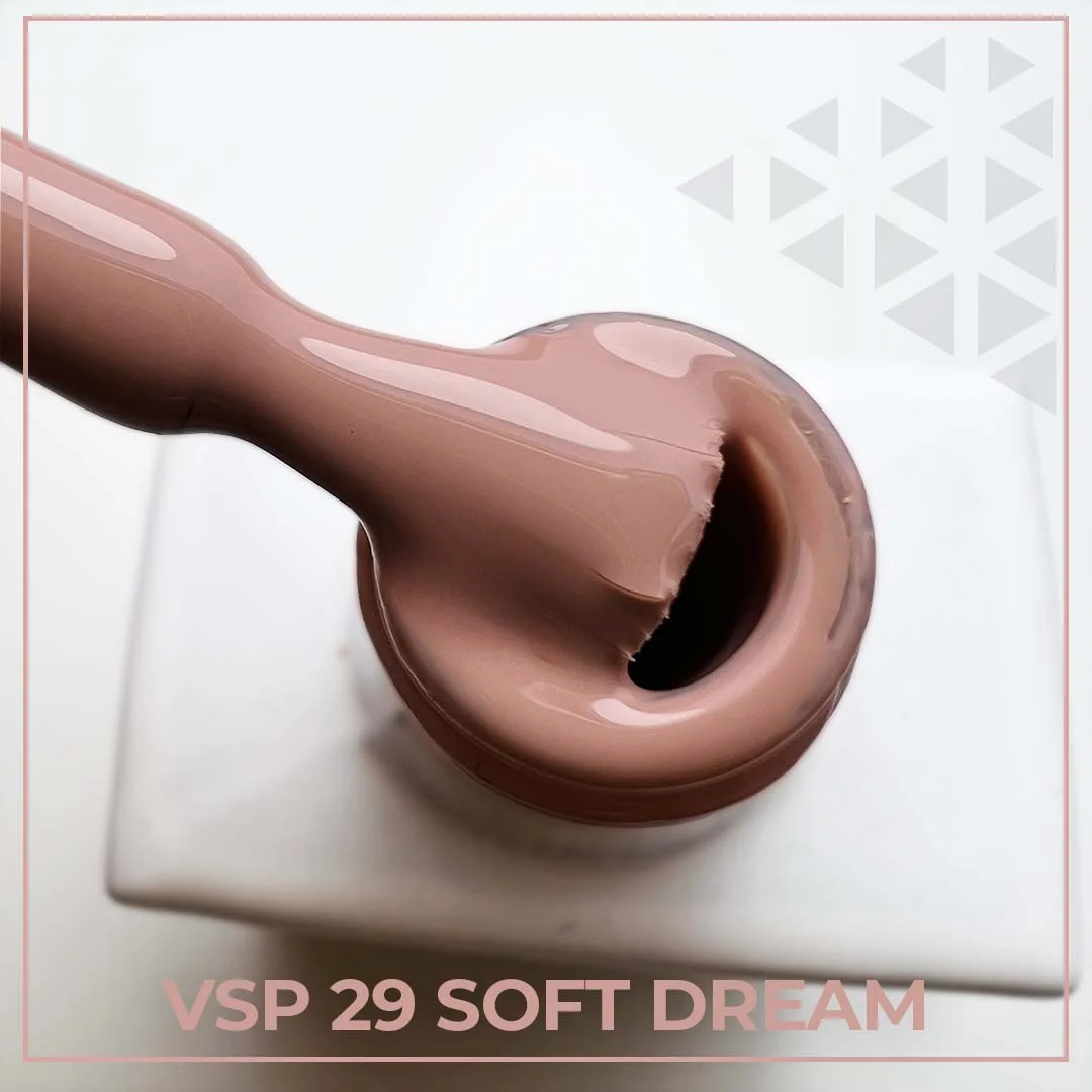 VSP_29